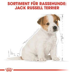 Royal Canin Jack Russell Terrier Puppy - Hundefutter 13 Royal Canin Jack Russell Terrier Puppy - Hundefutter -Heimtierbedarf Verkauf royal canin jack russell terrier puppy hondenvoer 139318 0500 none