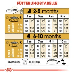 Royal Canin Jack Russell Terrier Puppy - Hundefutter 16 Royal Canin Jack Russell Terrier Puppy - Hundefutter -Heimtierbedarf Verkauf royal canin jack russell terrier puppy hondenvoer 139327 0500 none