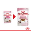 Royal Canin Kitten In Gravy - Katzenfutter -Heimtierbedarf Verkauf royal canin kitten in gravy kattenvoer 207080 0500 none