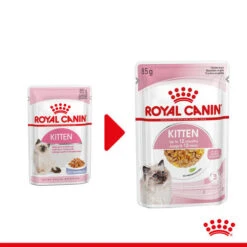 Royal Canin Kitten In Jelly - Katzenfutter -Heimtierbedarf Verkauf royal canin kitten in jelly kattenvoer 207116 0500 none