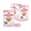Royal Canin Kitten In Jelly - Katzenfutter -Heimtierbedarf Verkauf royal canin kitten in jelly kattenvoer 207143 0500 none