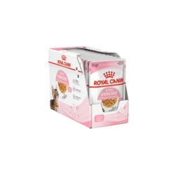 Royal Canin Kitten Sterilised Gelee - Beutel 15 Royal Canin Kitten Sterilised Gelee - Beutel -Heimtierbedarf Verkauf royal canin kitten sterilised in jelly kattenvoer 201959 0500 none