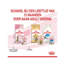 Royal Canin Kitten Sterilised Gelee - Beutel 20 Royal Canin Kitten Sterilised Gelee - Beutel -Heimtierbedarf Verkauf royal canin kitten sterilised in jelly maaltijdzakje 207221 0500 none