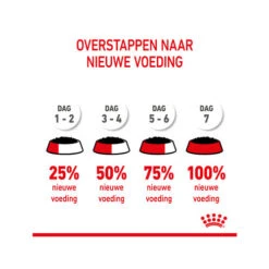 Royal Canin Kitten Sterilised Gelee - Beutel 21 Royal Canin Kitten Sterilised Gelee - Beutel -Heimtierbedarf Verkauf royal canin kitten sterilised in jelly maaltijdzakje 207224 0500 none