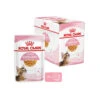 Royal Canin Kitten Sterilised Gelee - Beutel -Heimtierbedarf Verkauf royal canin kitten sterilised in jelly maaltijdzakje 207230 0500 none