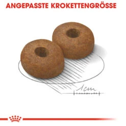 Royal Canin Maxi Ageing 8+ - Hundefutter -Heimtierbedarf Verkauf royal canin maxi ageing 8 hondenvoer 128714 0500 none