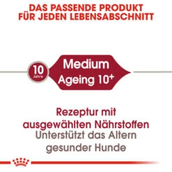 Royal Canin Medium Ageing 10+ - Hundefutter 13 Royal Canin Medium Ageing 10+ - Hundefutter -Heimtierbedarf Verkauf royal canin medium ageing 10 hondenvoer 128810 0500 none