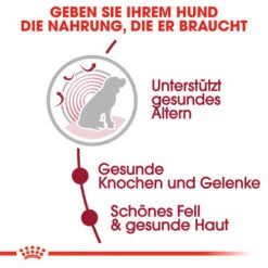 Royal Canin Medium Ageing 10+ - Hundefutter 12 Royal Canin Medium Ageing 10+ - Hundefutter -Heimtierbedarf Verkauf royal canin medium ageing 10 hondenvoer 128816 0500 none