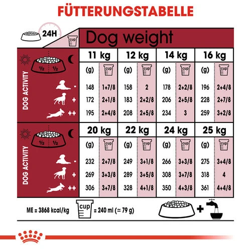 Royal Canin Medium Ageing 10+ - Hundefutter 10 Royal Canin Medium Ageing 10+ - Hundefutter – Bild 8