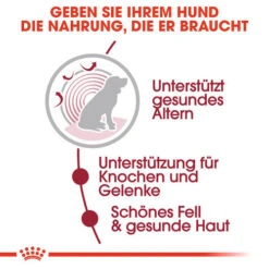 Royal Canin Medium Ageing 10+ Wet - Hundefutter 15 Royal Canin Medium Ageing 10+ Wet - Hundefutter -Heimtierbedarf Verkauf royal canin medium ageing 10 wet hondenvoer 129197 0500 none