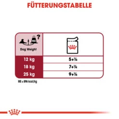 Royal Canin Medium Ageing 10+ Wet - Hundefutter 21 Royal Canin Medium Ageing 10+ Wet - Hundefutter -Heimtierbedarf Verkauf royal canin medium ageing 10 wet hondenvoer 129221 0500 none