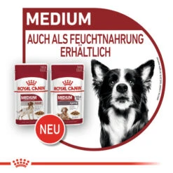 Royal Canin Medium Ageing 10+ Wet - Hundefutter 19 Royal Canin Medium Ageing 10+ Wet - Hundefutter -Heimtierbedarf Verkauf royal canin medium ageing 10 wet hondenvoer 129239 0500 none