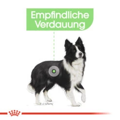 Royal Canin Medium Digestive Care - Hundefutter -Heimtierbedarf Verkauf royal canin medium digestive care hondenvoer 132788 0500 none