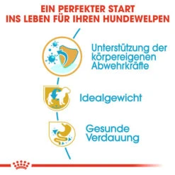 Royal Canin Mini Schnauzer Puppy - Hundefutter -Heimtierbedarf Verkauf royal canin mini schnauzer puppy hondenvoer 140173 0500 none