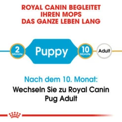 Royal Canin Pug Puppy - Hundefutter -Heimtierbedarf Verkauf royal canin pug puppy hondenvoer 139858 0500 none