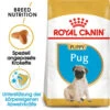 Royal Canin Pug Puppy - Hundefutter -Heimtierbedarf Verkauf royal canin pug puppy hondenvoer 139921 0500 none