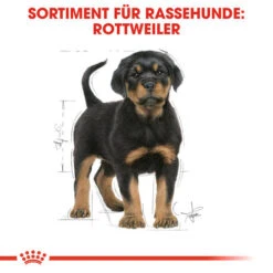 Royal Canin Rottweiler Puppy - Hundefutter -Heimtierbedarf Verkauf royal canin rottweiler puppy hondenvoer 140029 0500 none