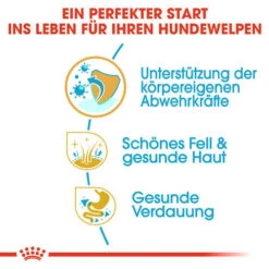 Royal Canin Shih Tzu Puppy - Hundefutter -Heimtierbedarf Verkauf royal canin shih tzu junior hondenvoer 140402 0500 none