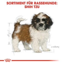Royal Canin Shih Tzu Puppy - Hundefutter -Heimtierbedarf Verkauf royal canin shih tzu junior hondenvoer 140411 0500 none