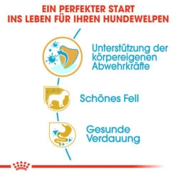 Royal Canin Yorkshire Terrier Puppy - Hundefutter 11 Royal Canin Yorkshire Terrier Puppy - Hundefutter -Heimtierbedarf Verkauf royal canin yorkshire terrier puppy hondenvoer 140795 0500 none