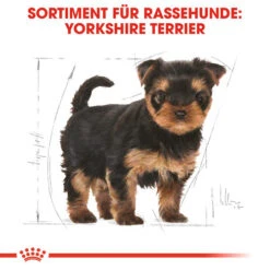 Royal Canin Yorkshire Terrier Puppy - Hundefutter 13 Royal Canin Yorkshire Terrier Puppy - Hundefutter -Heimtierbedarf Verkauf royal canin yorkshire terrier puppy hondenvoer 140804 0500 none
