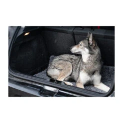 Royal Dry Doormat 12 Royal Dry Doormat -Heimtierbedarf Verkauf royal dry doormat 187417 0500 none