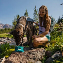 Ruffwear Flat Out Dog Collar - Alpenglow Burst -Heimtierbedarf Verkauf ruffwear flat out dog collar alpenglow burst 204812 0500 none