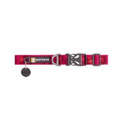 Ruffwear Flat Out Dog Collar - Alpenglow Burst -Heimtierbedarf Verkauf ruffwear flat out dog collar alpenglow burst 204824 0500 none