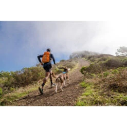 Ruffwear Hi & Light Harness 15 Ruffwear Hi & Light Harness -Heimtierbedarf Verkauf ruffwear hi light harness 196016 0500 none