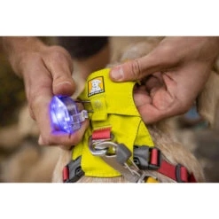Ruffwear Hi & Light Harness 18 Ruffwear Hi & Light Harness -Heimtierbedarf Verkauf ruffwear hi light harness 196031 0500 none