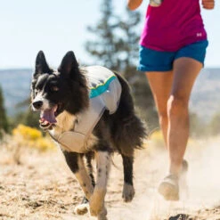 Ruffwear Swamp Cooler -Heimtierbedarf Verkauf ruffwear swamp cooler 124703 0500 none