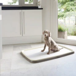 Savic Puppy Trainer + Pads -Heimtierbedarf Verkauf savic puppy trainer pads 163498 0500 none