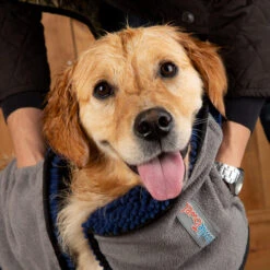 Scruffs Noodle Dry Mat -Heimtierbedarf Verkauf scruffs noodle dry mat 220544 0500 none