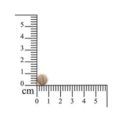 Sensipharm Sneeze Aid Katze -Heimtierbedarf Verkauf sensipharm sneeze aid kat 174685 0500 none