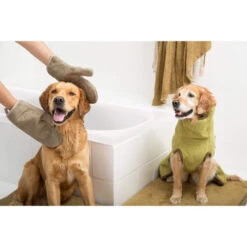 Siccaro DryGlove 7 Siccaro DryGlove -Heimtierbedarf Verkauf siccaro dryglove 196901 0500 none