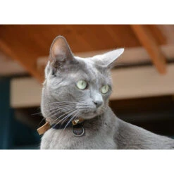 Spotted! Pro Dog & Cat -Heimtierbedarf Verkauf spotted pro dog cat 166915 0500 none