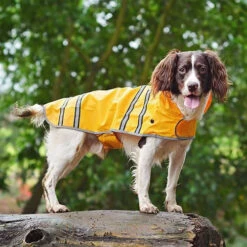 Sötnos Hunderegenmantel -Heimtierbedarf Verkauf stnos hondenregenjas 130475 0500 none