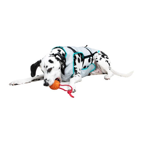 Suitical DRY Cooling Vest 7 Suitical DRY Cooling Vest – Bild 5