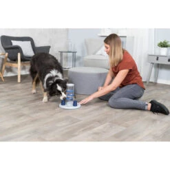 Trixie Dog Activity Gambling Tower 14 Trixie Dog Activity Gambling Tower -Heimtierbedarf Verkauf trixie dog activity gambling tower 179852 0500 none