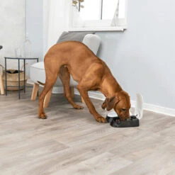 Trixie Doppel-Futterautomat TX2 -Heimtierbedarf Verkauf trixie dubbele voederautomaat tx2 170914 0500 none