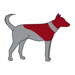 Trixie Aufblasbare Halskrause -Heimtierbedarf Verkauf trixie opblaasbare beschermkraag 101866 0500 none