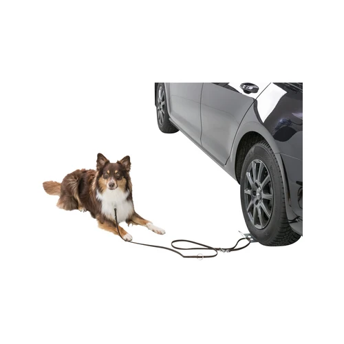 Trixie Auffahrplatte 3 Trixie Auffahrplatte