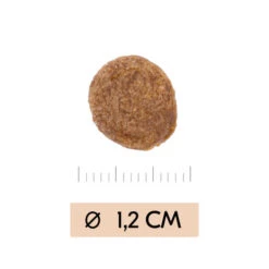 Vetality Gastrointestinal - Hundefutter -Heimtierbedarf Verkauf vetality gastrointestinal hondenvoer 195449 0500 none