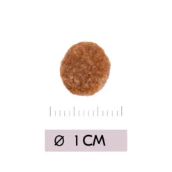 Vetality Renal - Katzenfutter 8 Vetality Renal - Katzenfutter -Heimtierbedarf Verkauf vetality renal kattenvoer 195458 0500 none