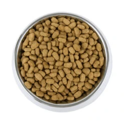 Vetality Weight Management - Hundefutter -Heimtierbedarf Verkauf vetality weight management hondenvoer 195227 0500 none