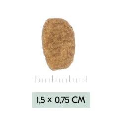 Vetality Weight Management - Hundefutter -Heimtierbedarf Verkauf vetality weight management hondenvoer 195455 0500 none