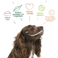 Yarrah - Hundefutter In Soße Vega Mit Hagebutten Bio 10 Yarrah - Hundefutter In Soße Vega Mit Hagebutten Bio -Heimtierbedarf Verkauf yarrah bio natvoer hond kuipje chunks vega 200843 0500 none