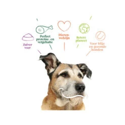 Yarrah - Trockenfutter Senior Mit Huhn, Fisch Und Kräutern Bio -Heimtierbedarf Verkauf yarrah droogvoer hond senior bio 201146 0500 none