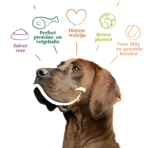 Yarrah - Trockenfutter Sensitiv Mit Huhn Und Reis Bio 5 Yarrah - Trockenfutter Sensitiv Mit Huhn Und Reis Bio – Bild 3