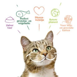 Yarrah - Katzenfutter Paté Rind Mit Chicorée Bio -Heimtierbedarf Verkauf yarrah pat kat kuipje met rund bio 201059 0500 none